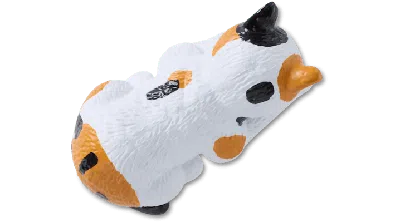 Jibbitz 3d Multi Colored Cat In White
