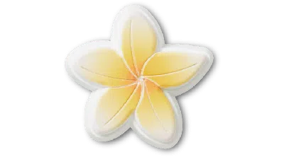 Jibbitz Beach Flower In White