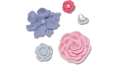 Jibbitz Boho Flowers 5 Pack In Multi