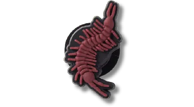 Jibbitz Brown Centipede