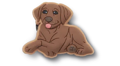 Jibbitz Brown Lab Puppy