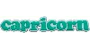 Jibbitz Capricorn