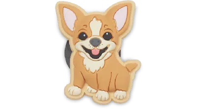 Jibbitz Chihuahua Puppy In Neutral