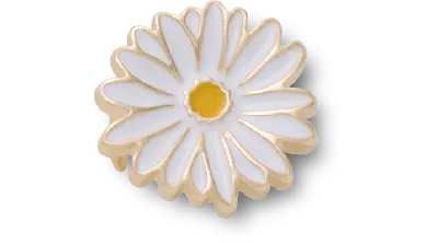 Jibbitz Daisy Sandal C Charm