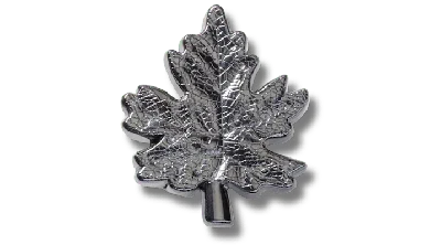 Jibbitz Dark Maple Leaf