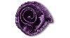 Jibbitz Deep Purple Rosette