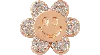 Jibbitz Diamond Flower Face