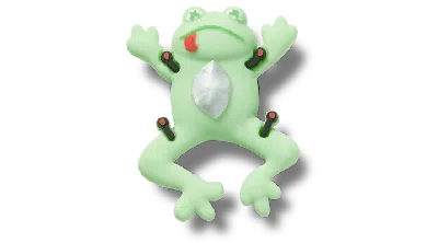 Jibbitz Dissecting Frog