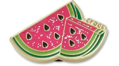 Jibbitz Double Watermelon In Green