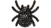 Jibbitz Elevated Spooky Spider