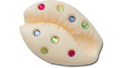 Jibbitz Gem Puka Shell