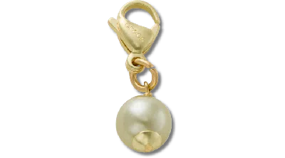 Jibbitz Gold And Green Smt Pearl Charm In Brown