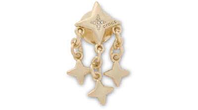 Jibbitz Gold And Star Dangle