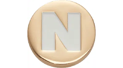 Jibbitz Gold Letter N