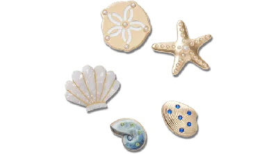 Jibbitz Gold Seashell 5 Pack