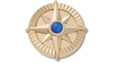 Jibbitz Gold Star Navy Gem