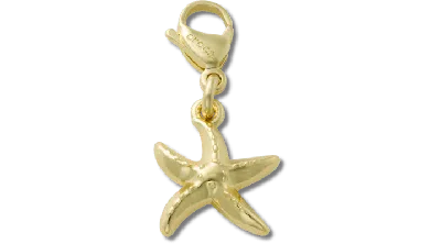 Jibbitz Gold Starfish Charm