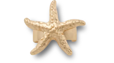 Jibbitz Gold Starfish Sandal C Charm