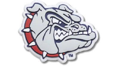Jibbitz Gonzaga University In Gray