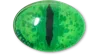 Jibbitz Green Animal Eye