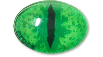Jibbitz Green Animal Eye