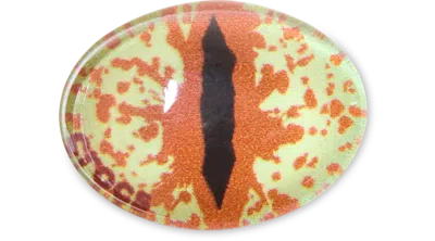 Jibbitz Hazel Animal Eye In Brown