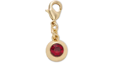 Jibbitz January Gem Charm