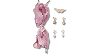 Jibbitz Laces And Butterfly Charm Kit In Pink