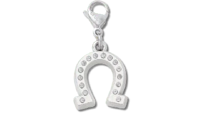 Jibbitz Lucky Silver Horseshoe Charm