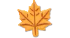 Jibbitz Maple Leaf In Yellow