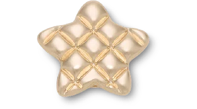 Jibbitz Nostalgic Holiday Star In Brown