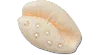 Jibbitz Pearl Puka Shell
