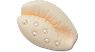 Jibbitz Pearl Puka Shell