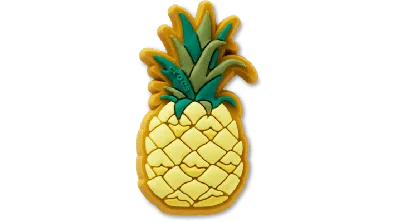 Jibbitz Perfect Pineapple In Multi