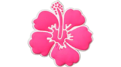 Jibbitz Pink Hibiscus