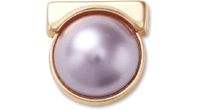 Jibbitz Purple Pearl Bar In Multi