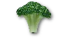 Jibbitz Realistic Broccoli