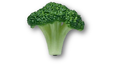 Jibbitz Realistic Broccoli
