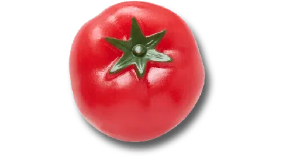 Jibbitz Realistic Tomato