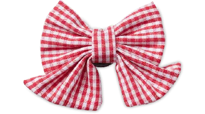 Jibbitz Red Gingham Bow