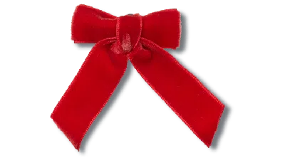 Jibbitz Red Velvet Bow