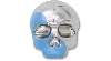 Jibbitz Silver And Blue Enamel Skull In Multi
