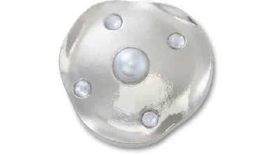Jibbitz Silver And Pearl Disc In Gray