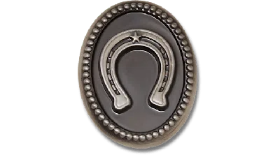 Jibbitz Silver Horseshoe In Gray