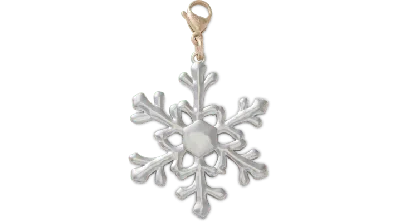 Jibbitz Silver Snowflake Charm
