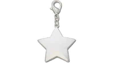 Jibbitz Silver Star Charm