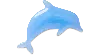 Jibbitz Squish Filled Dolphin