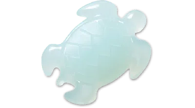 Jibbitz Squish Filled Turtle