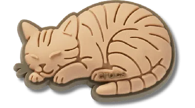 Jibbitz Tabby Cat In Brown