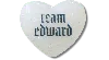 Jibbitz The Twilight Saga Team Edward In White